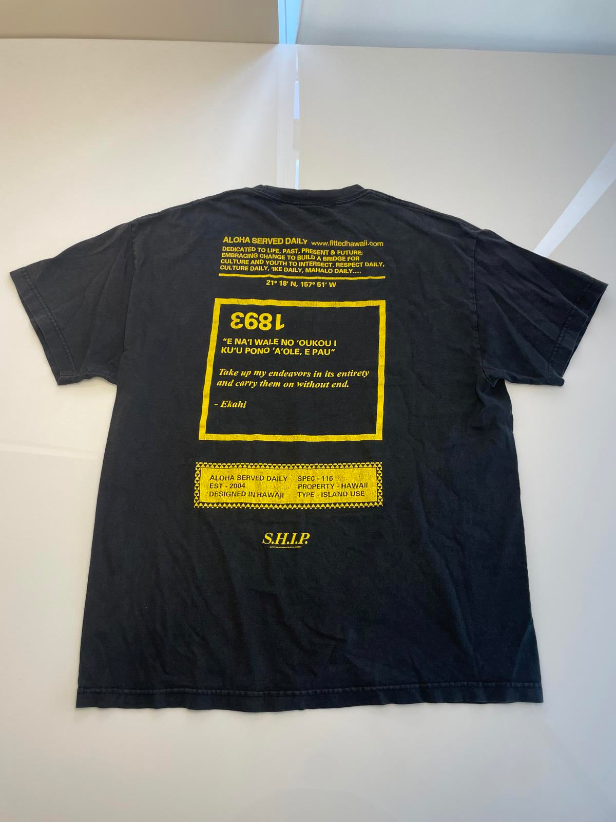 Fitted Hawaii Aloha Served Daily Tee- Men XL