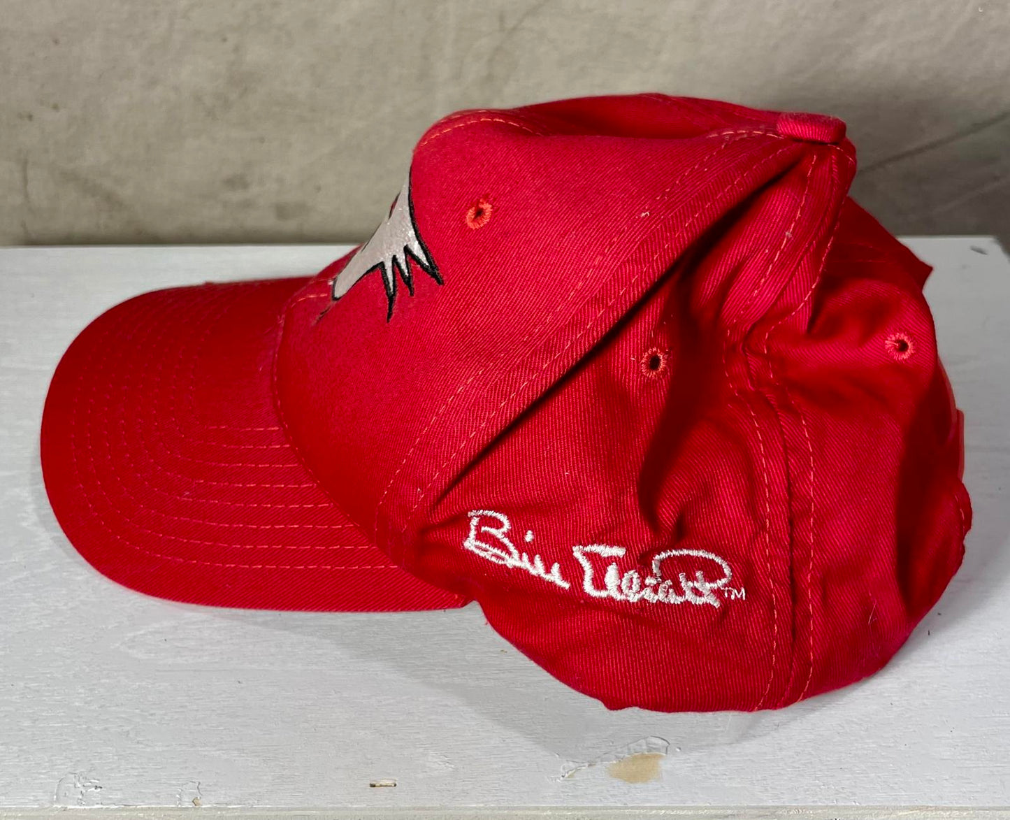 Vintage NASCAR Bill Elliot Snapback